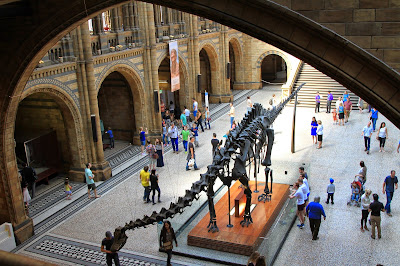 Central Hall with Diplodocus