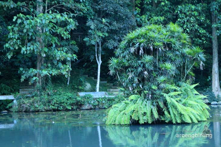 balong kramat darmaloka kuningan
