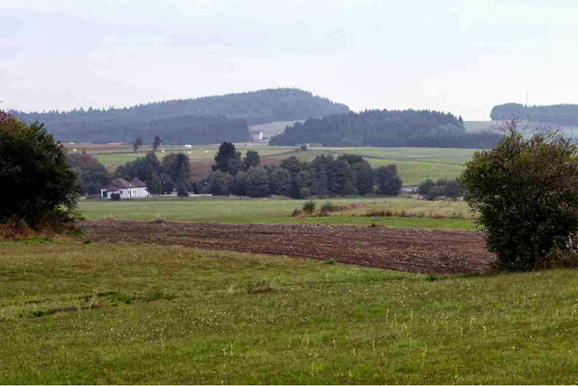 Wald- und Wiesenlandschaft um Gutenbrunn im Waldviertel © Copyright Monika Fuchs, TravelWorldOnline