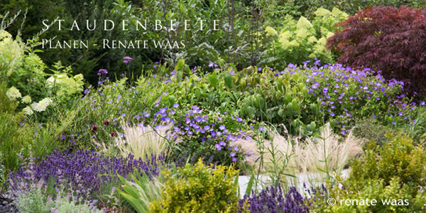 Gartenplanung und Gartendesign Renate Waas München, individuelle Pflanzplanung für einen Garten in modernem Gartendesign - Staudenbeete, Gehölze und Blumenzwiebeln sind auf das Gartendesign abgestimmt