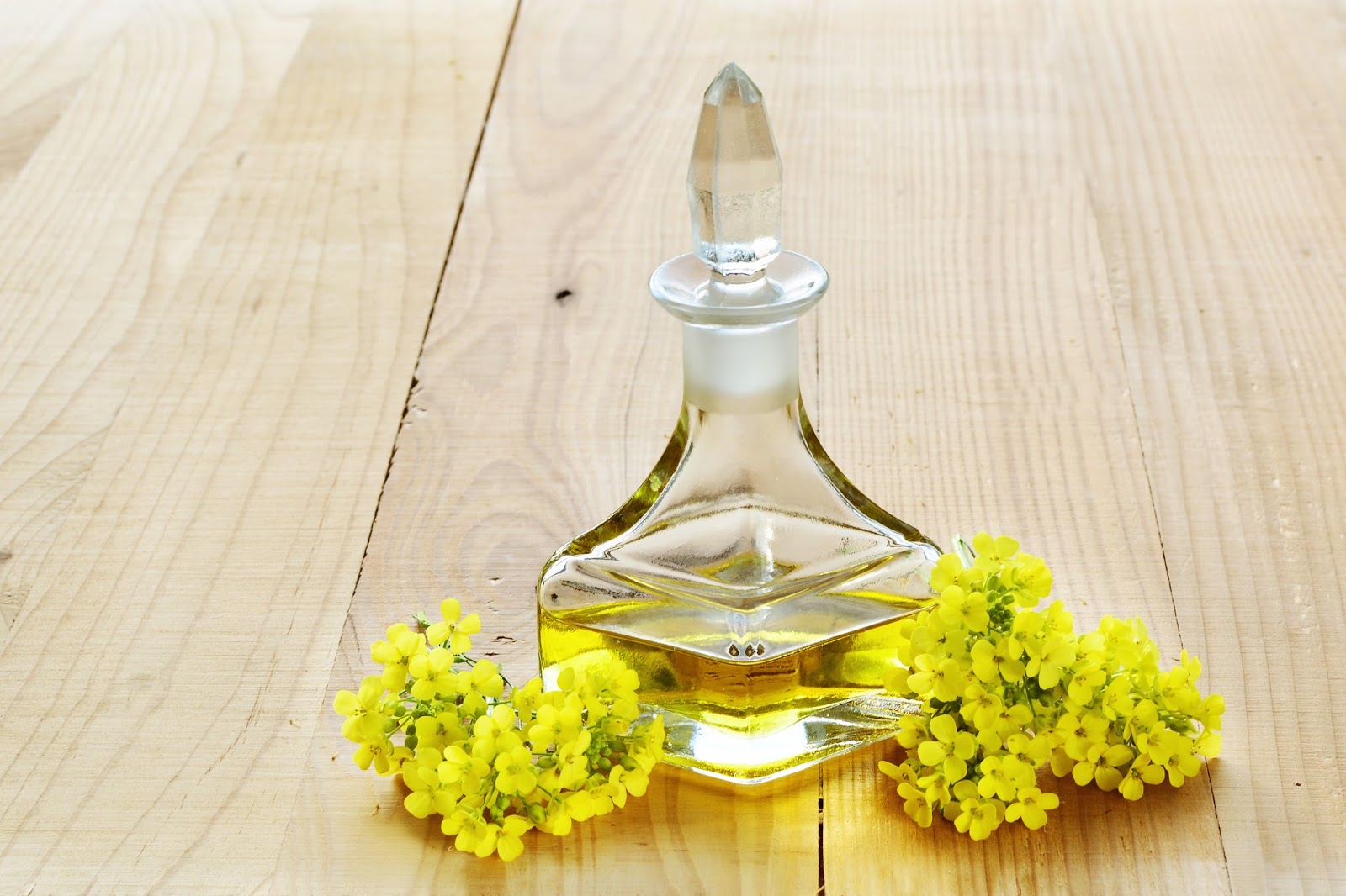 Dr Virginia Benitez Roig Aesthetic Treatments Marbella Spain Canola