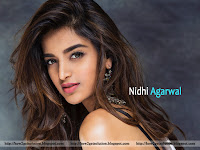 nidhi agarwal hot, nidhi agarwal, telugu actress nidhi agarwal closeup photo