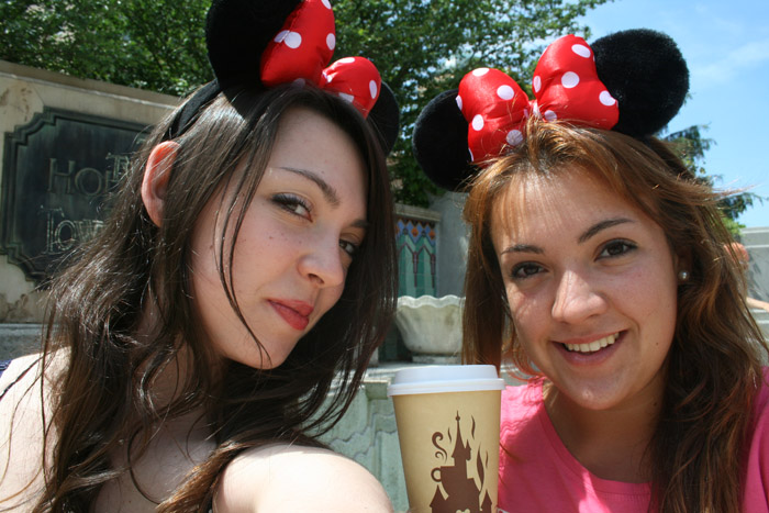 disneyland paris elegancehunter