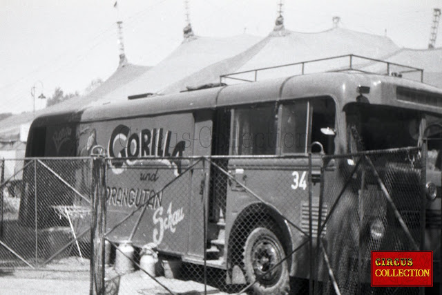 Véhicule cage du gorille et de l'orang-outan à la ménagerie du Cirque Franz Althoff 1967
