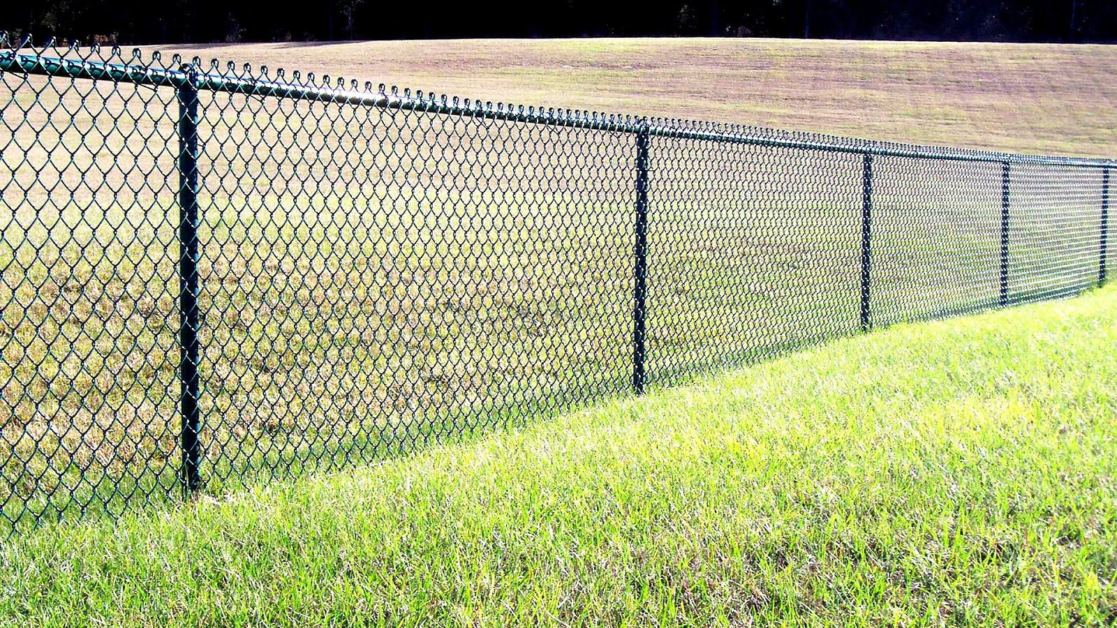 Chain Link Fence Repair Cost Fence Choices