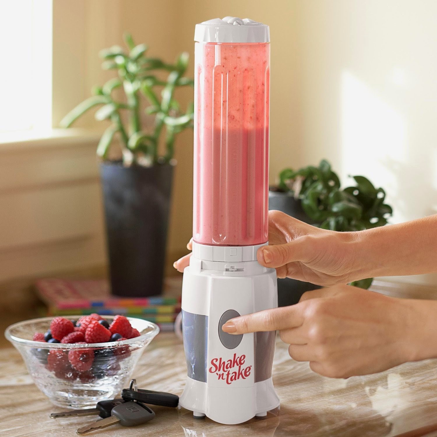 Shake 'n Go Smoothie Maker