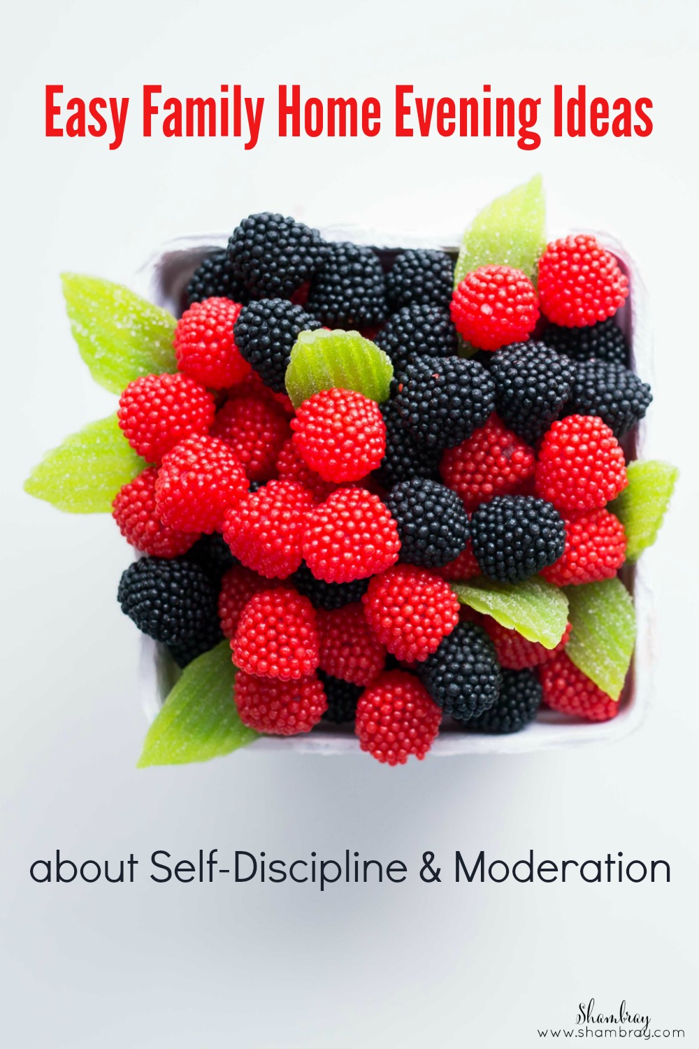 shambray easy family home evening ideas on self discipline moderation