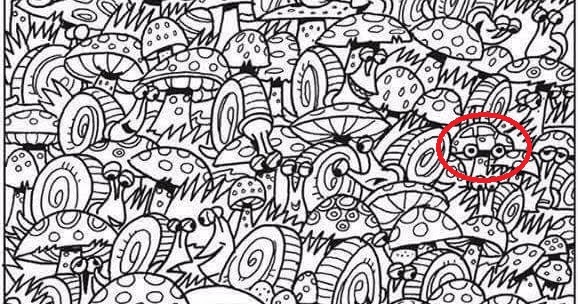 Find The Car Puzzle Snails Answer