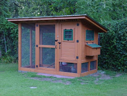 chicken coops coop easy plans backyard chickens homemade designs yard build cute chick cheap dreamin wichita clean diy cabin building