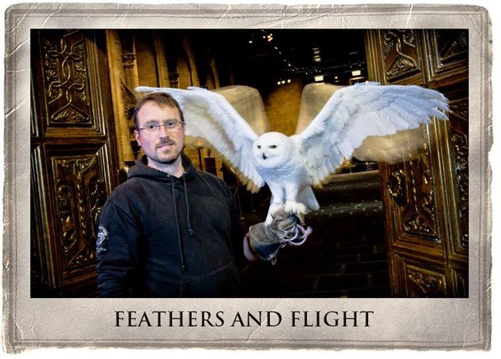 , Feathers and Flight at Warner Brother Studio Tours London The Making of Harry Potter