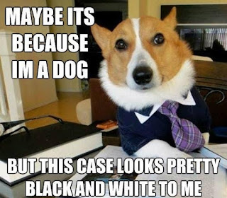 Dog Memes Dog Memes