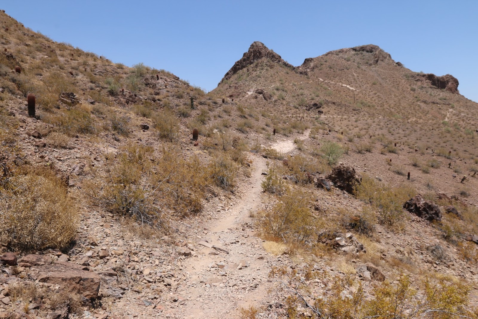 Phoenix Mountain Preserve (16)