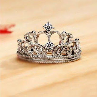 shof_58647dfc5dcb0ab