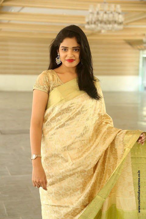 Harshita at Silk India Expo 2017 Launch