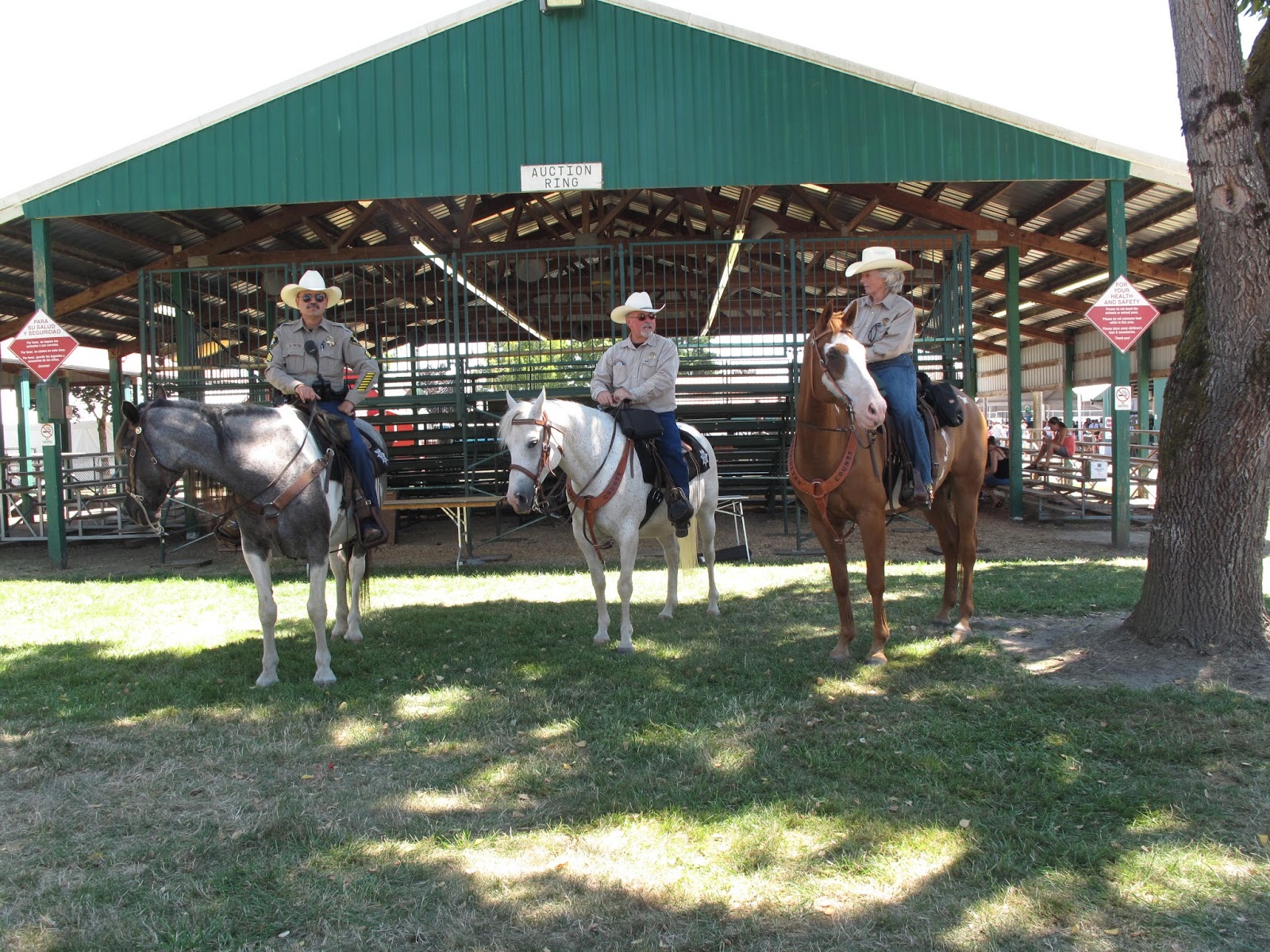 Best Handcrafted & Outdoor Newsletter Washington County Fair