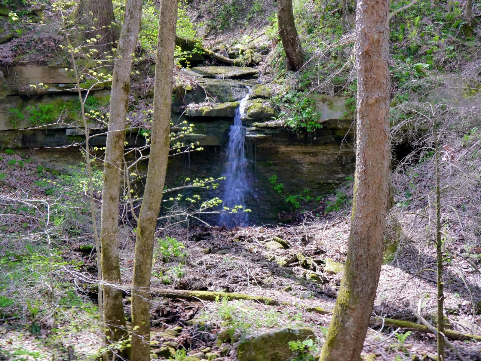 American Travel Journal Debord Falls Frozen Head State Park