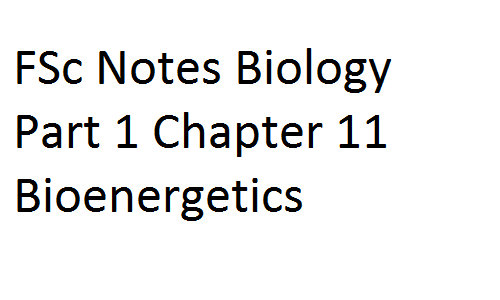 Fsc Notes Biology Part 1 Chapter 11 Bioenergetics