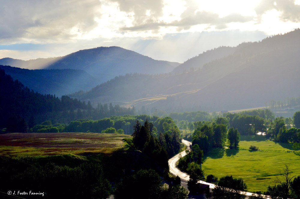 Ferry County, Washington State, U.S.A. Curlew Washington