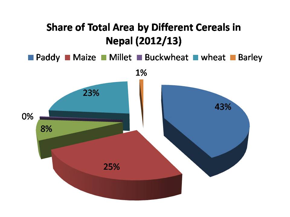 Area and Production Share of Cereals in Nepal Aggregation of An