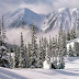 Winter Nature Desktop backgrounds