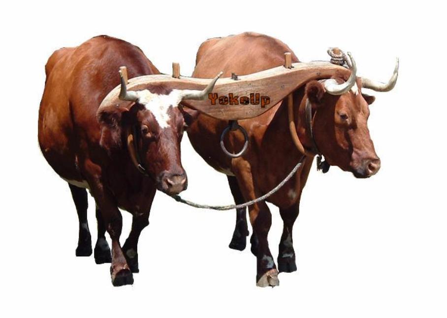 Yesus Ternyata Memberi Beban Tambahan