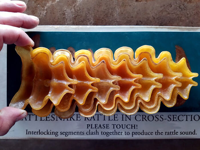 30 Stunning Pictures Of Objects Cut In Half Unveil The Hidden Side Of Things
