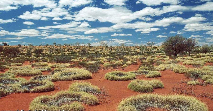 a paleo diéta elvesztette a mennyiségét, de nem gyors a paleo diéta elvesztette a mennyiségét, de nem gyors