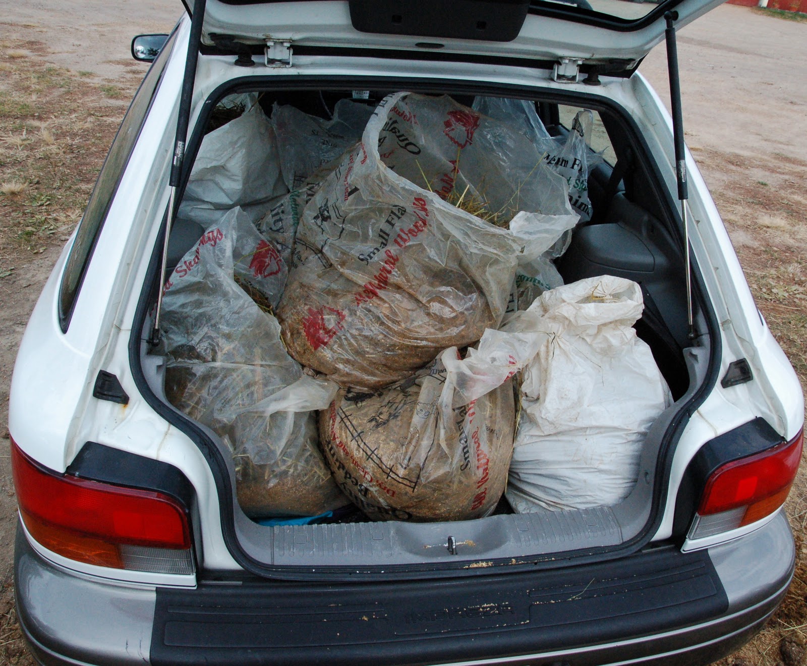 Savoring Servant Picking up horse manure for compost