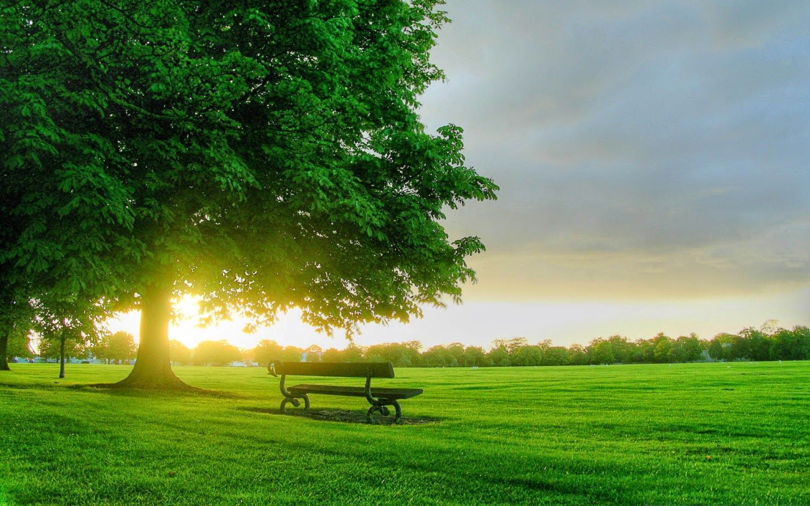 48 Summer Season Wallpapers | MagOne 2016