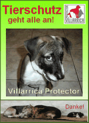 Villarrica Protector