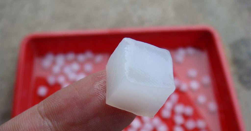 Bakteri Nata de Coco : Acetobacter Xylinum