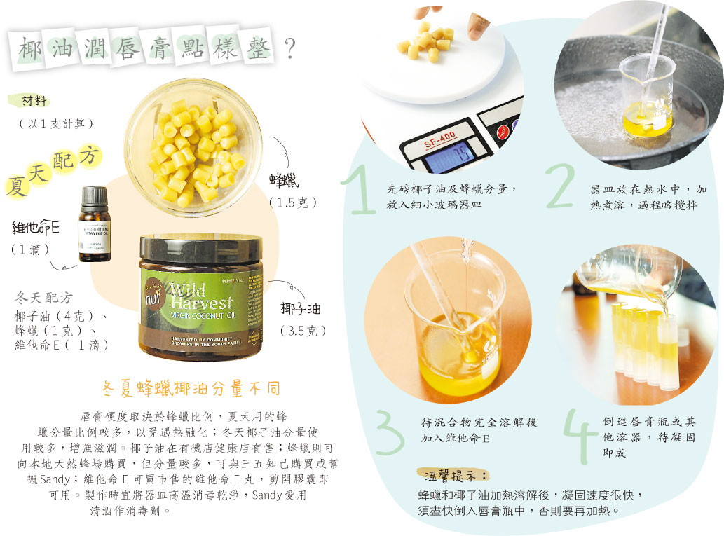 椰子油潤唇膏 15分鐘製成