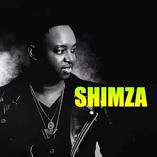 Shimza - Afrilectro (Original Mix)