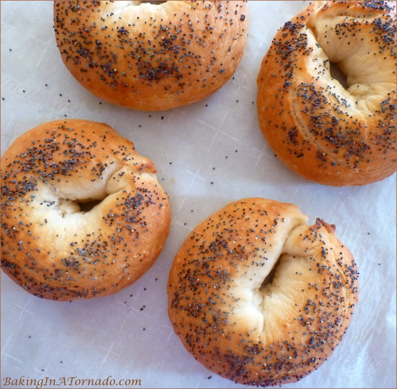 Baking in a Tornado Onion Poppy Bagels Truth or Dare Blog With Friends