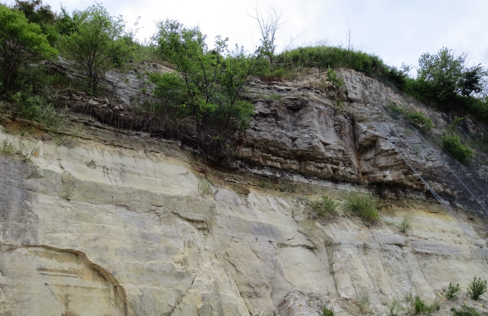 Equatorial Minnesota Geology 101 Sedimentary Rocks