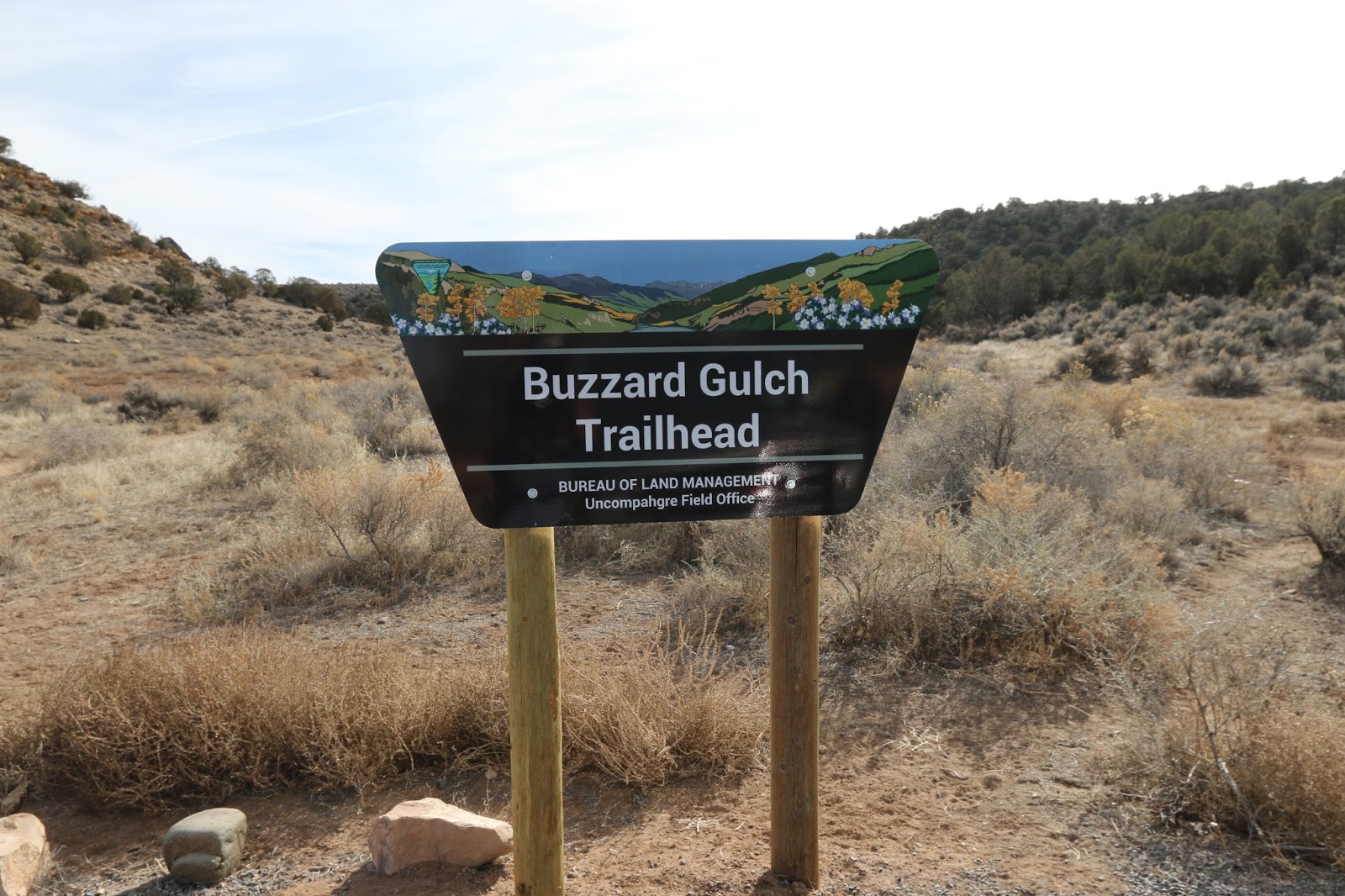 Buzzard Gulch