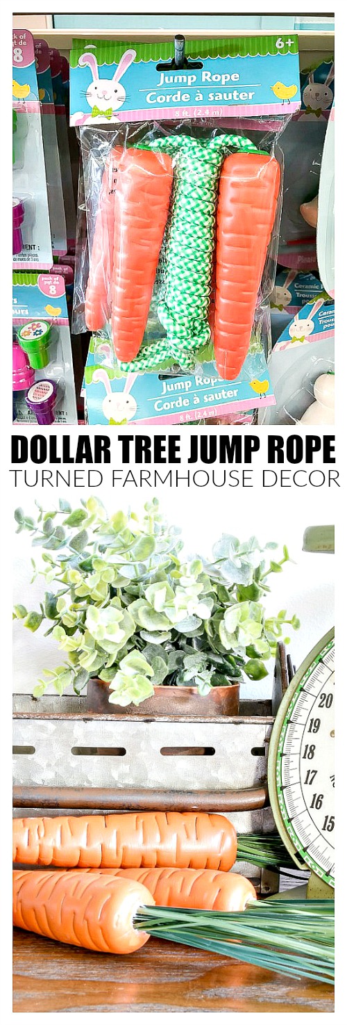 Take Two How to Make Dollar Tree Carrots Look Incredibly Real Little