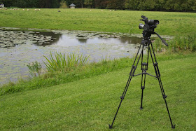 Click to enlarge picture