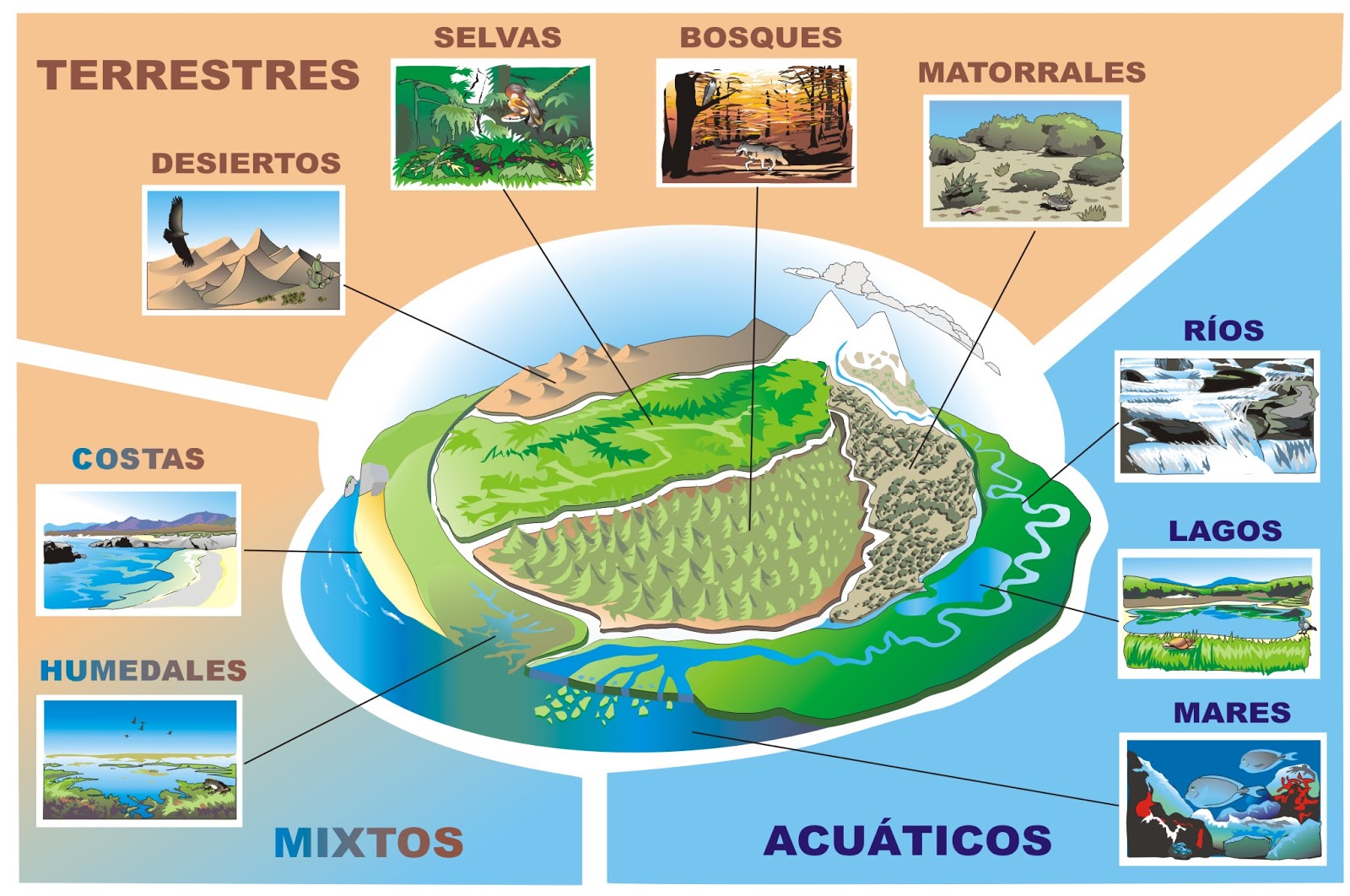 Que Es Un Ecosistema En Desarrollo Sustentable