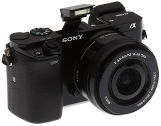 Sony A6000 Instruction Manual & Specs PDF Download
