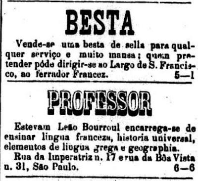 Anúncios classificados de 1875, onde são oferecidos um cavalo para atividades domésticas e serviços de ensino de um professor.