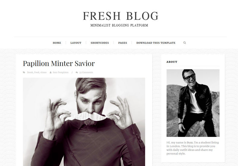 Fresh blogger Teması