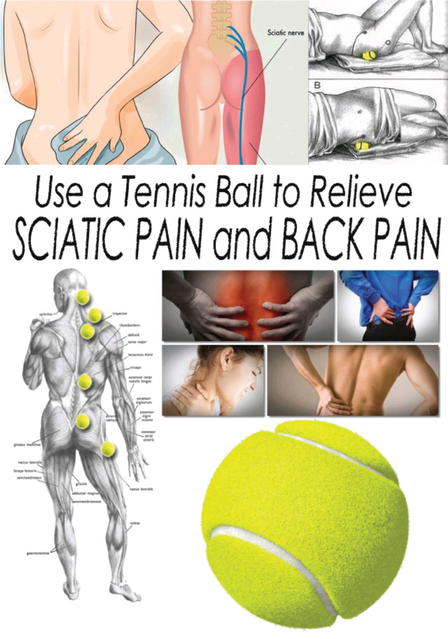 Use a Tennis Ball to Relieve Sciatic Pain and Back Pain! Here is How
