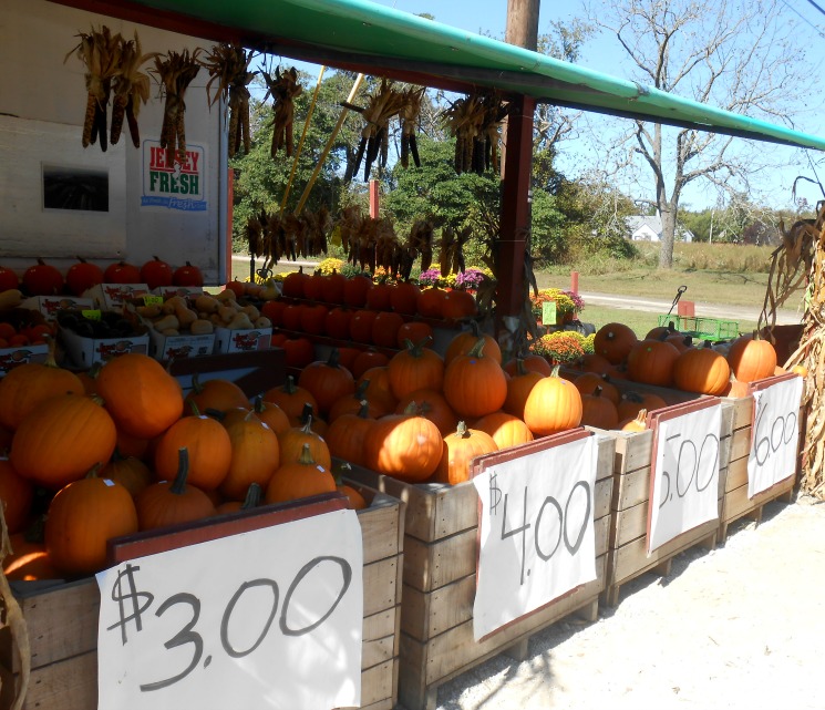 Pennsylvania & Beyond Travel Blog Myers Farms Farmer's Market in