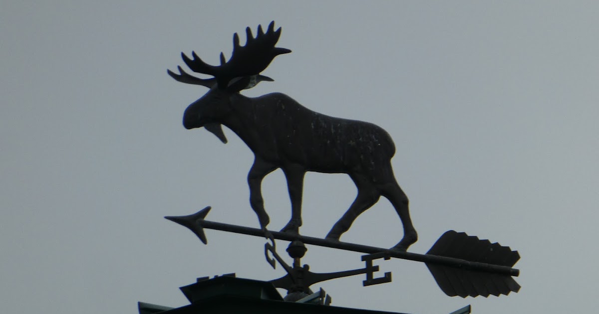 Nutfield Genealogy Weathervane Wednesday A Maine Moose