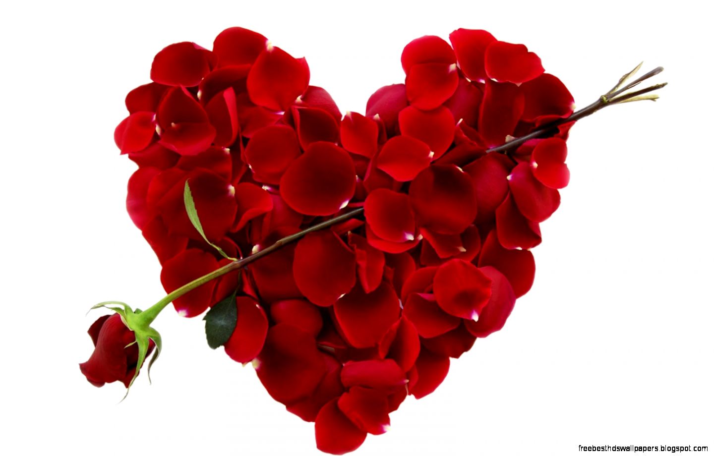 Last Minute Valentines Day Gifts  Boing Boing