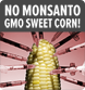 Sign the Petition and Stop GMO Corn!