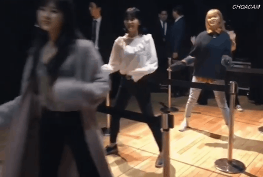 나정모사지미다채쯔