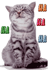 Planeta gato: julio 2016