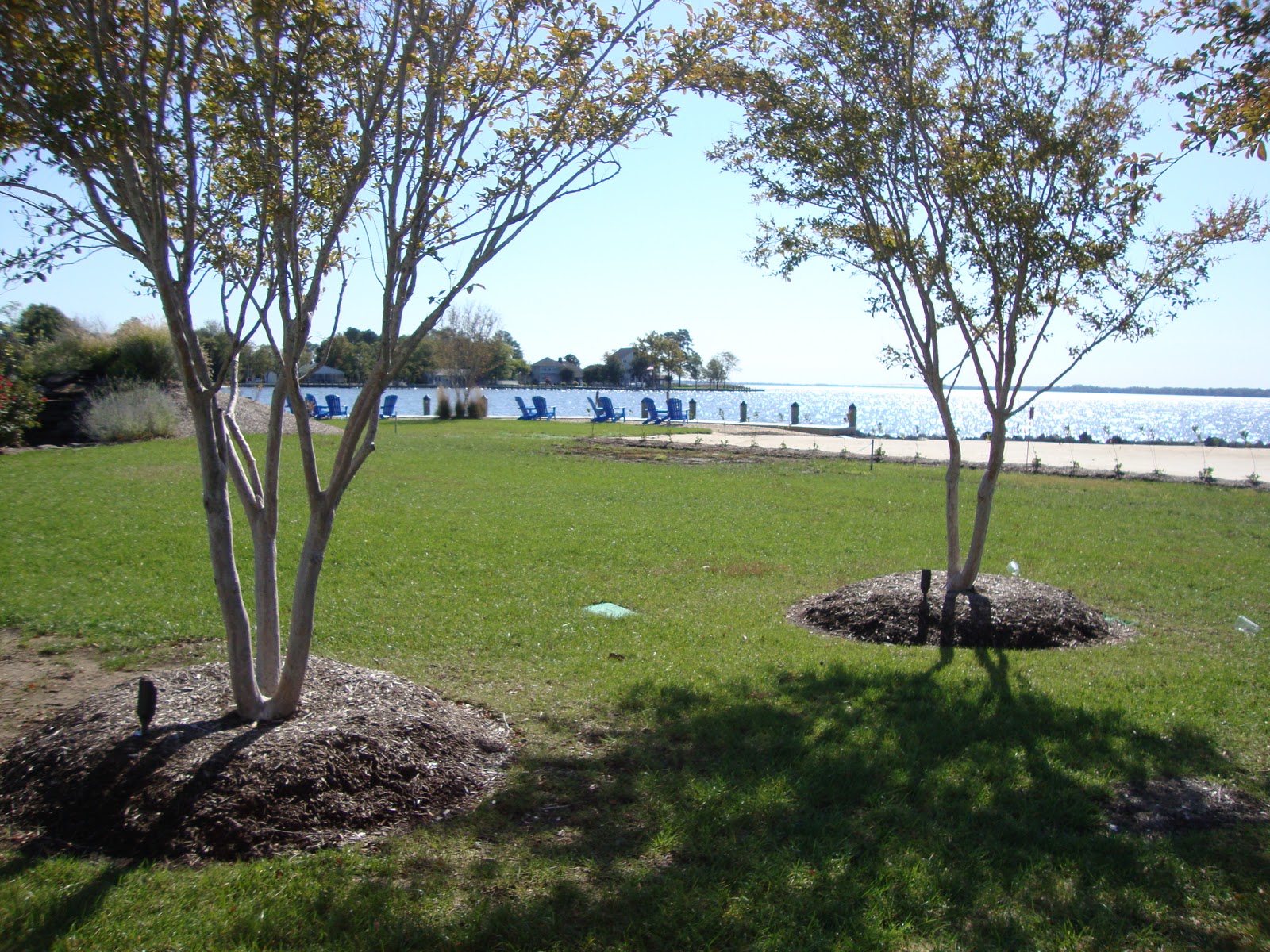 Knotical Life Your Wedding's 'Spot'